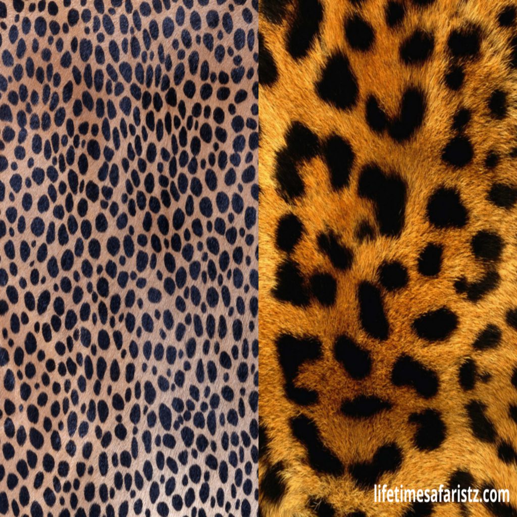 Difference between the Textures of the Spot