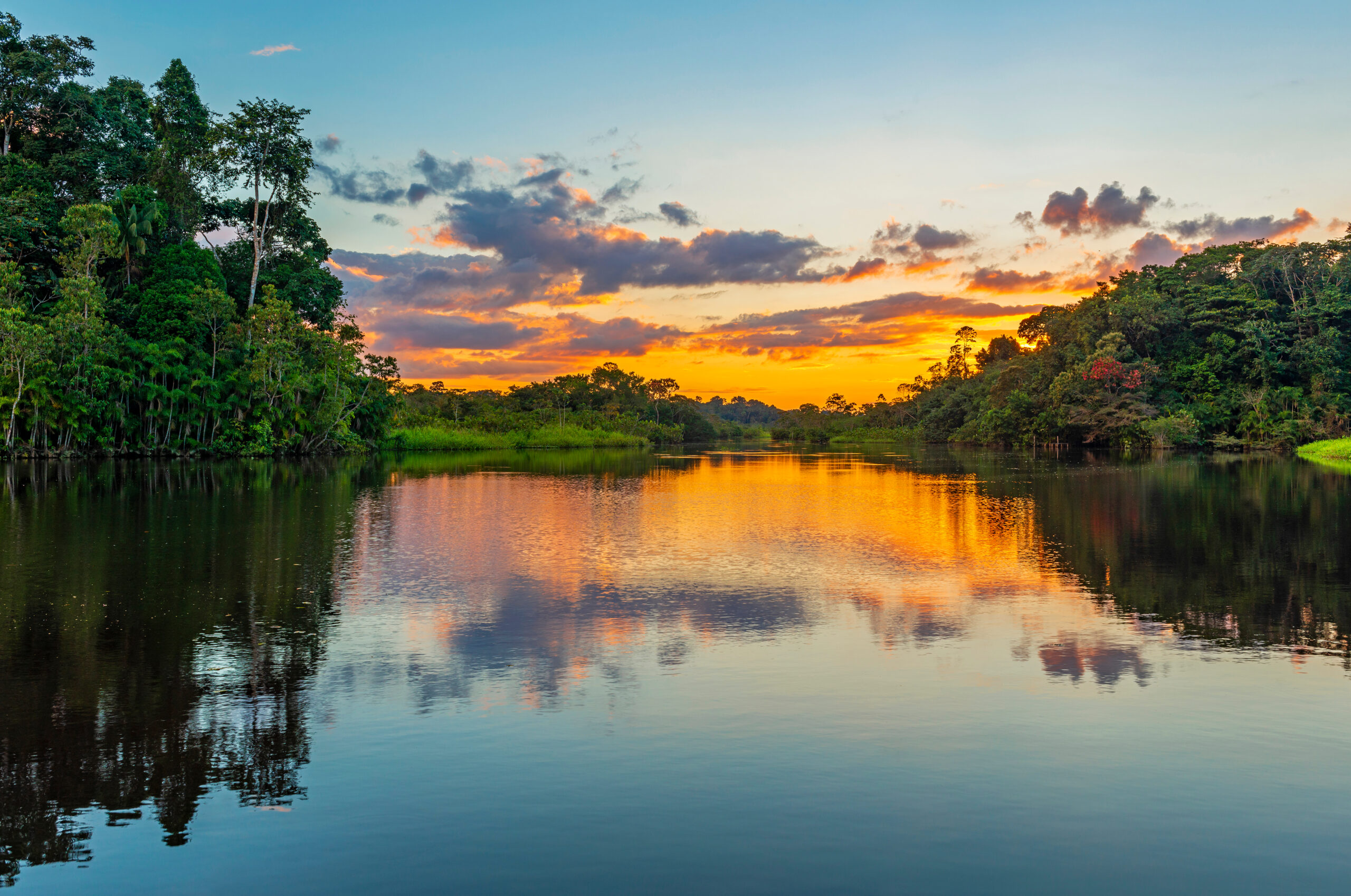 Reflection,Of,A,Sunset,By,Lagoon,Inside,The,Amazon,Rainforest.