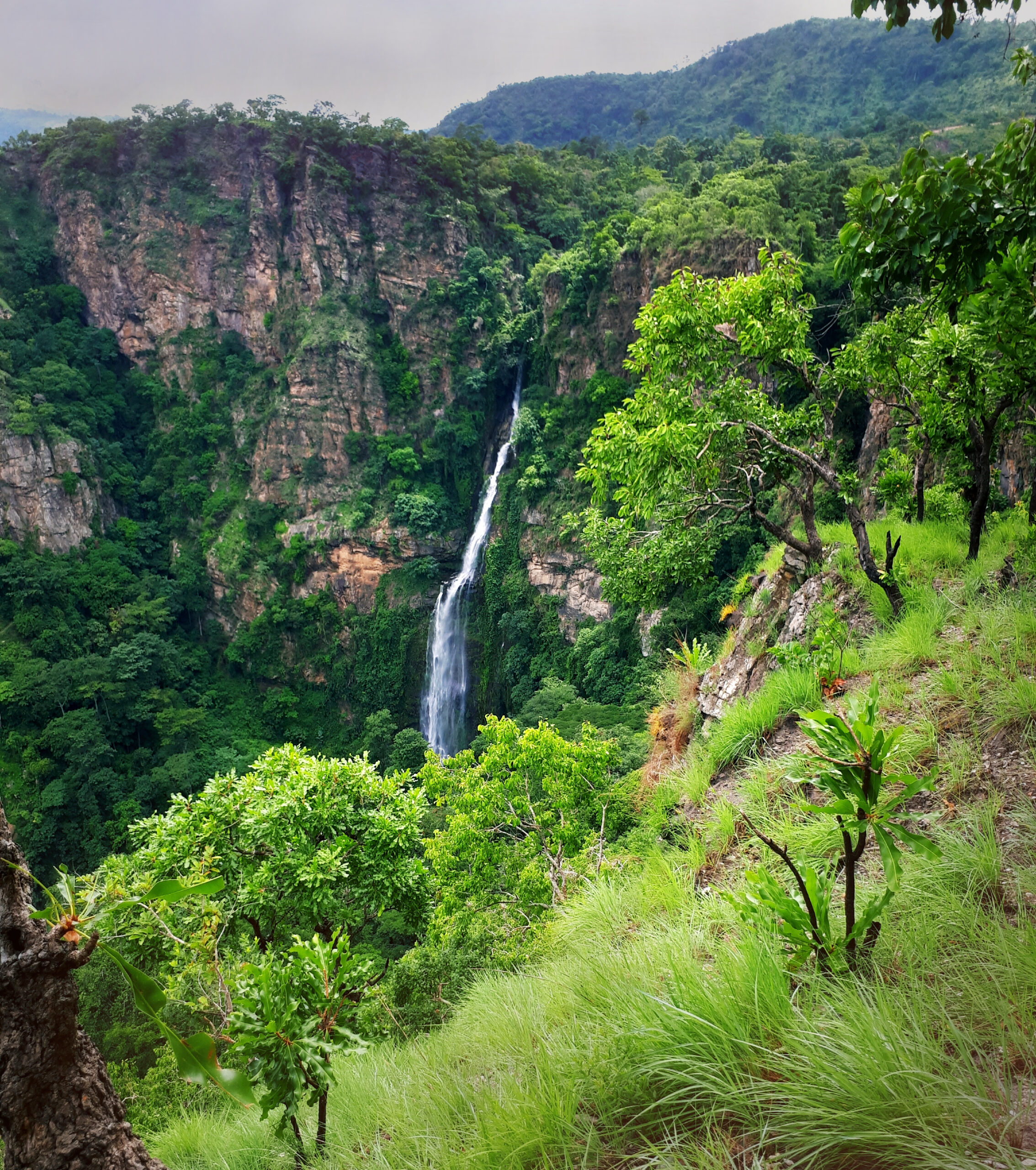 Wli,Waterfalls,(upper,Waterfall),2018