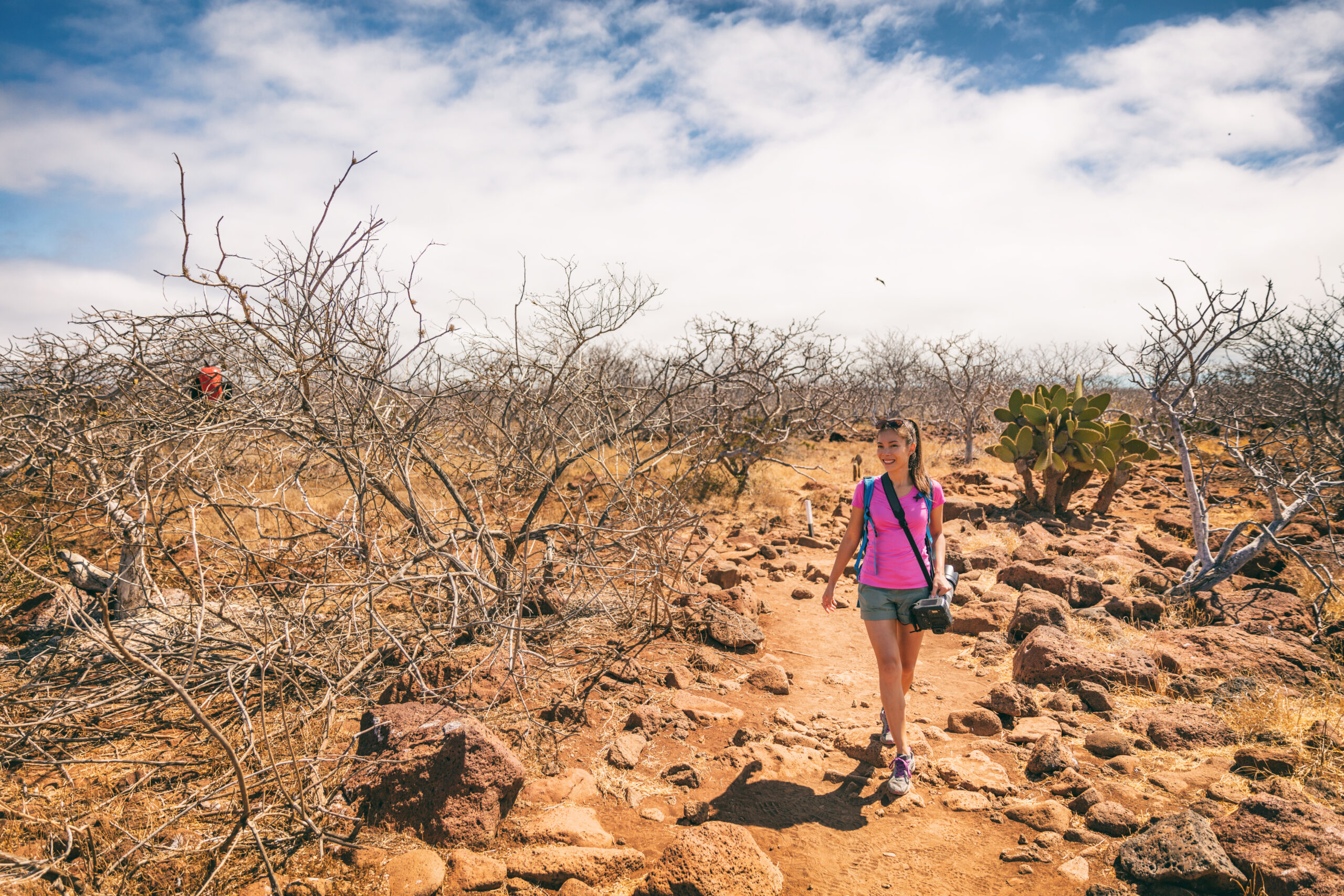 Galapagos,Tourist,Walking,By,Frigatebird,On,Galapagos,Islands.,Magnificent,Frigate-birds