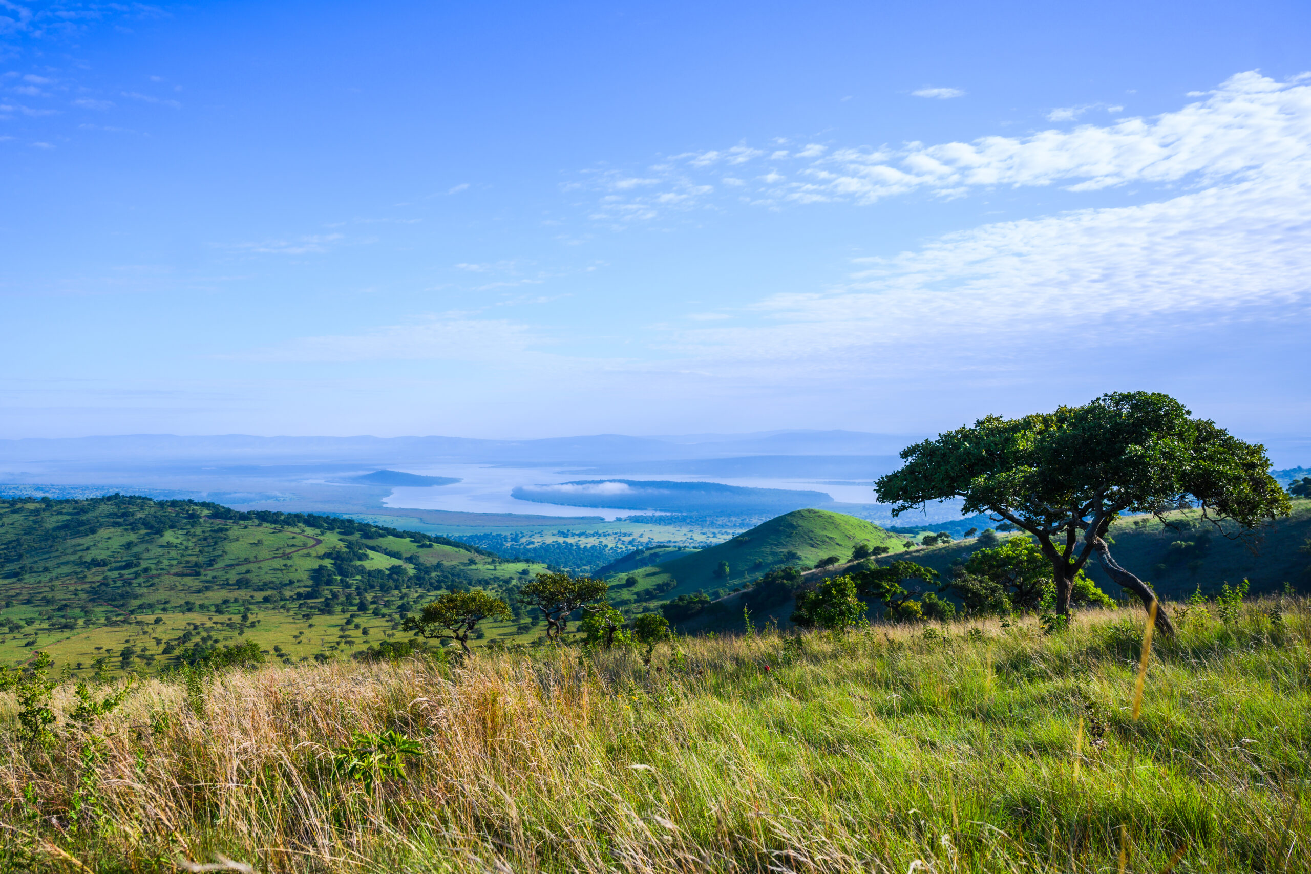 Akagera,National,Park,Rwanda,Africa