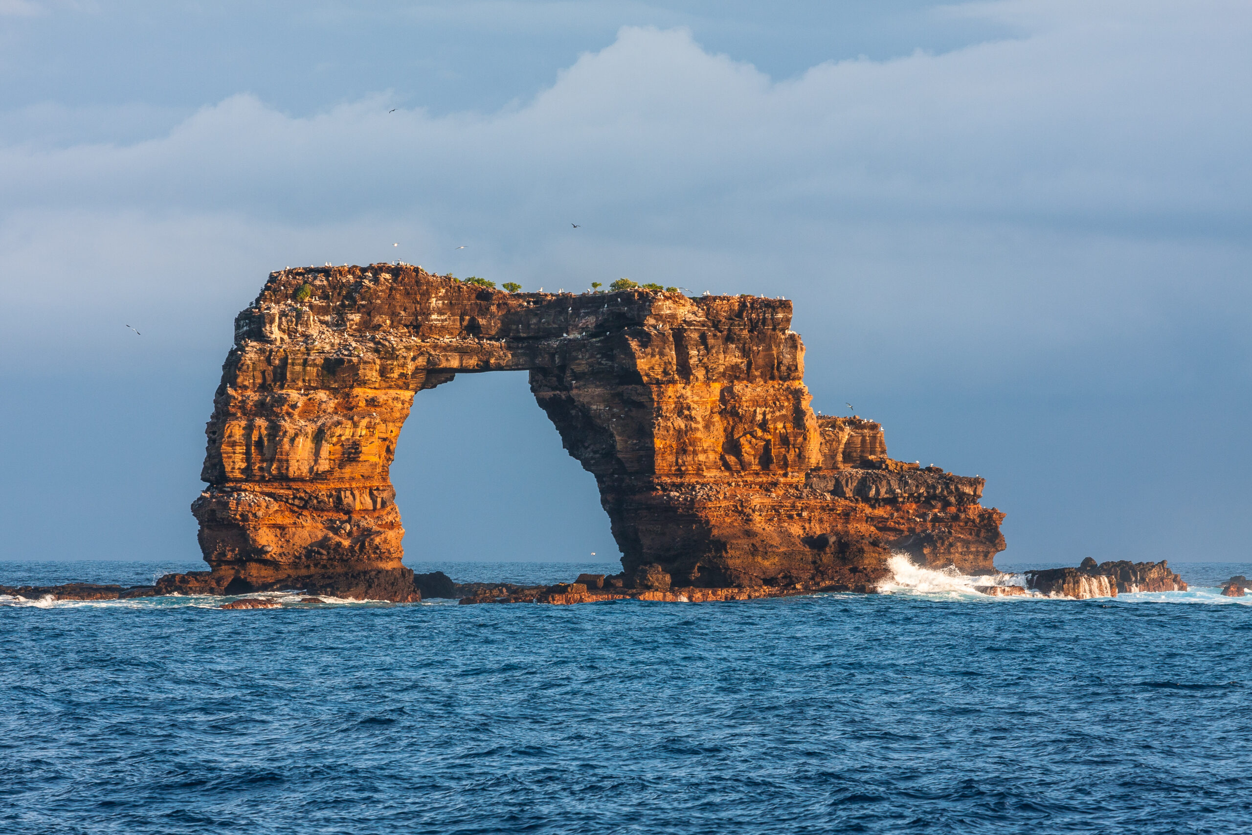 Famous,Darwin’s,Arch,In,Galapagos,In,Ecuador