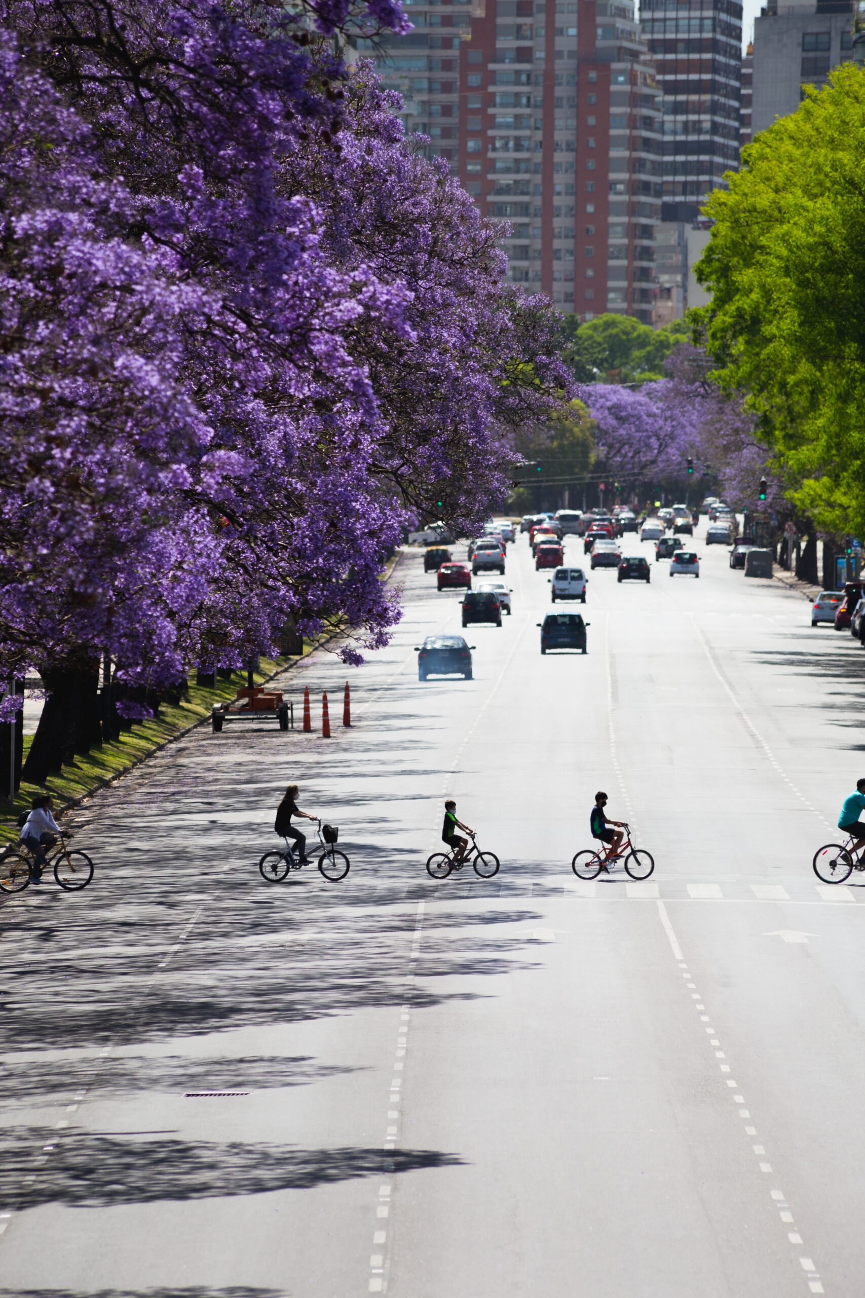 Argentina experiences comfortable