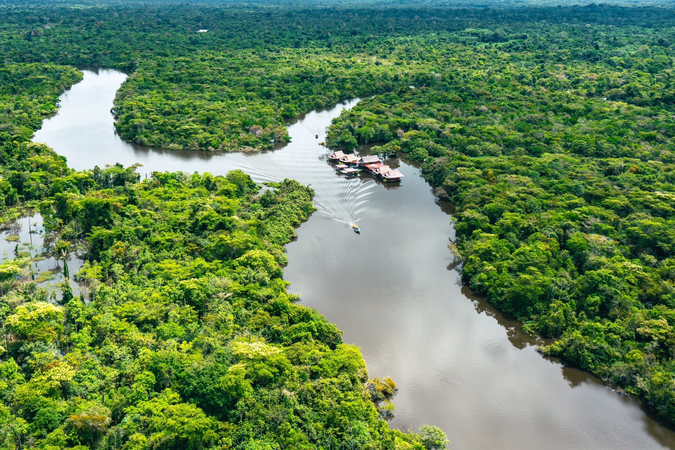 Aerial,View,Of,Amazon,Rainforest,In,Peru,,South,America.,Green