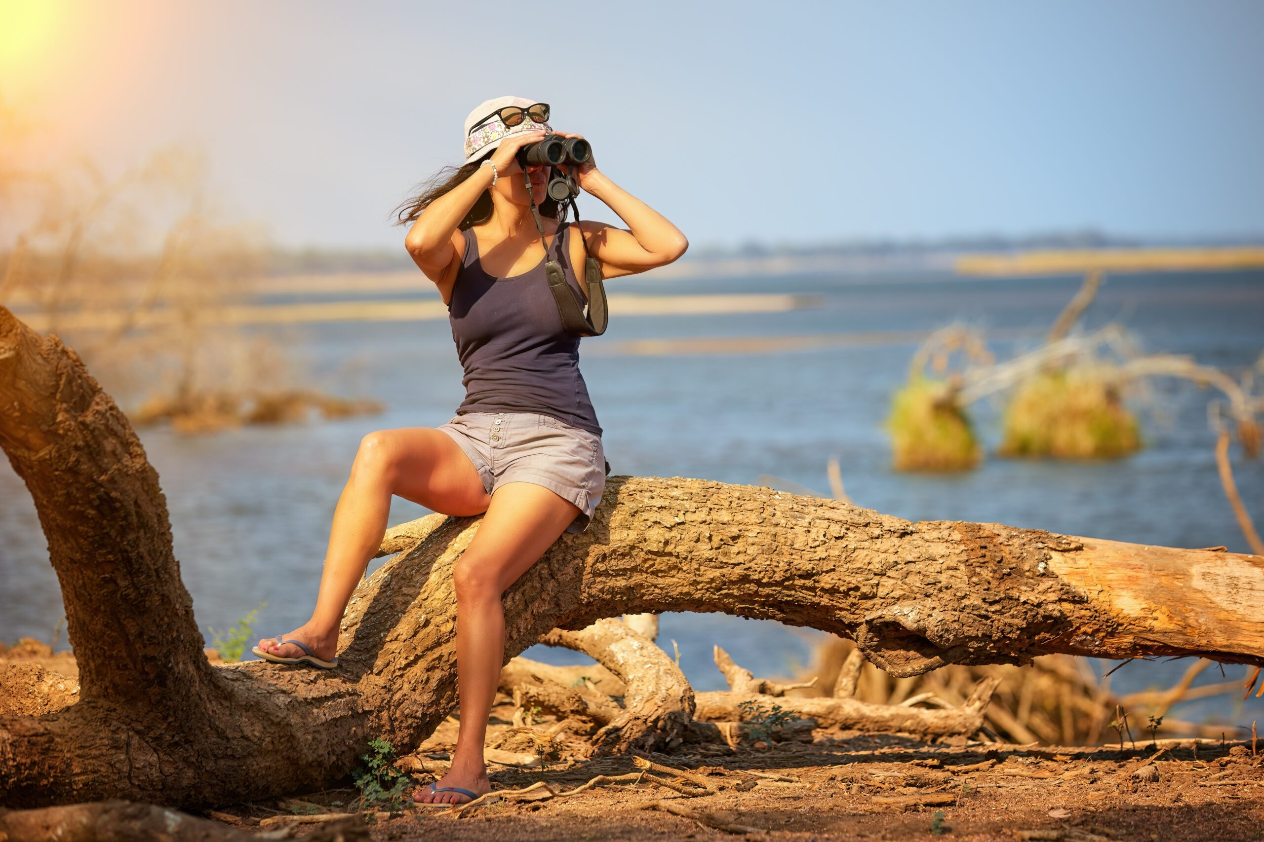 On,Safari,In,Zimbabwe:,Fit,Woman,Sitting,On,Tree,Trunk