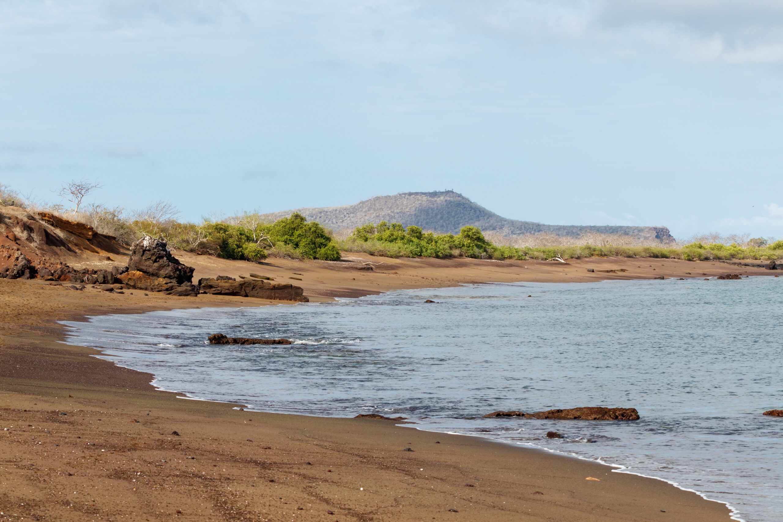 A,Landscape,View,Of,The,Beach,At,Punta,Cormorant,,Floreana