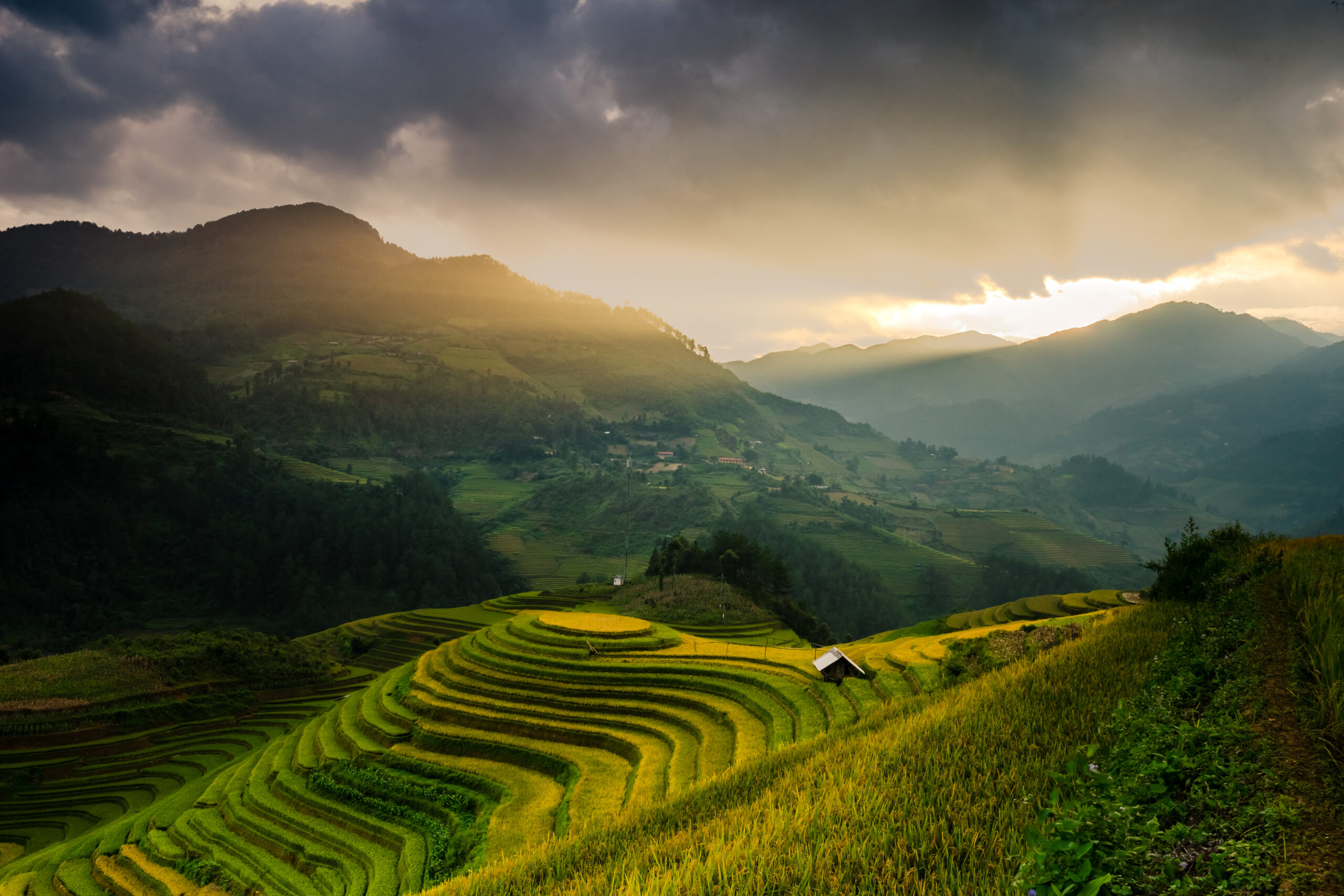 Beautiful,Rice,Terraces,In,The,Evening,,South,East,Asia