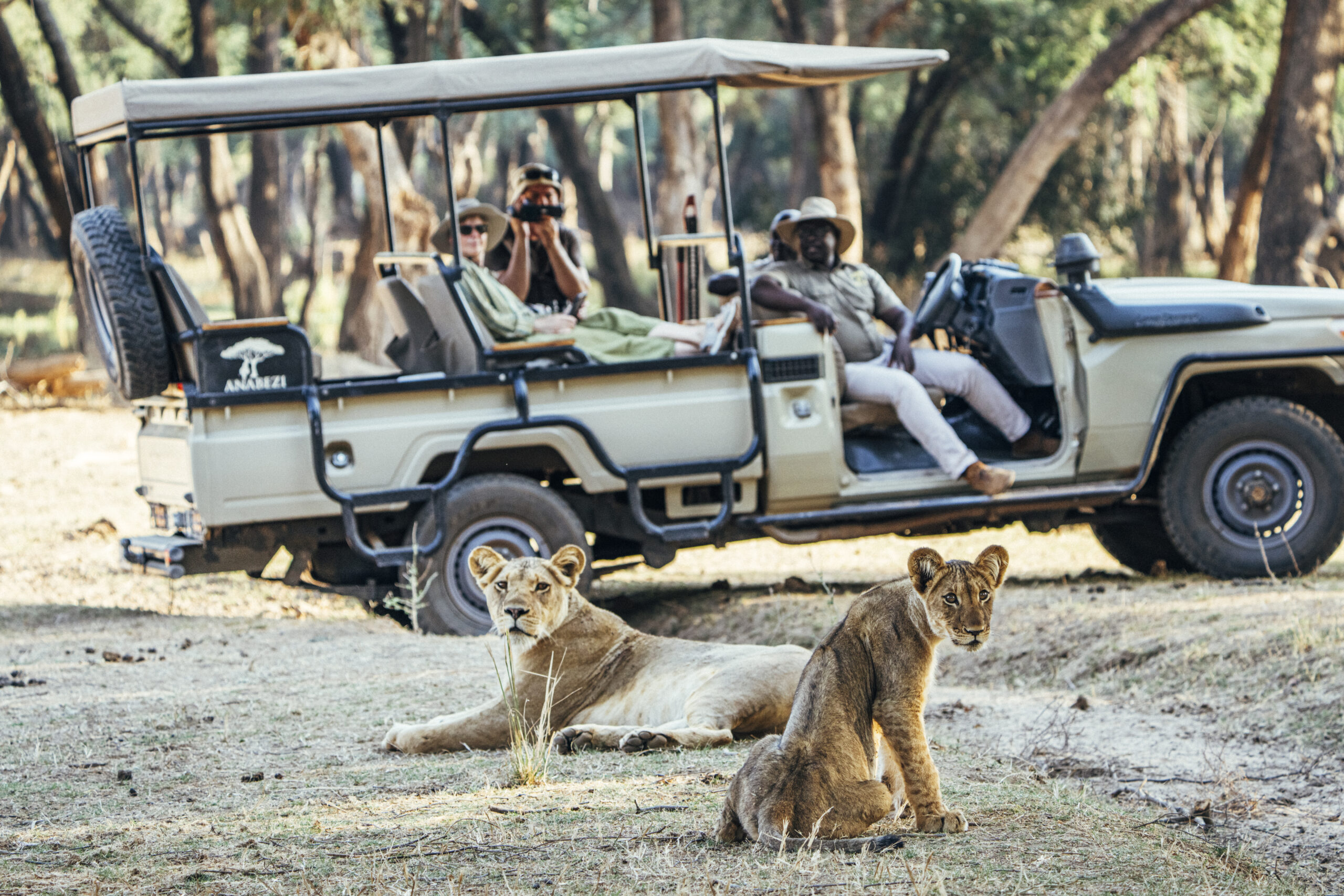 Anabezi-Camp-Game-Drive-Lions-Lower-Zambezi